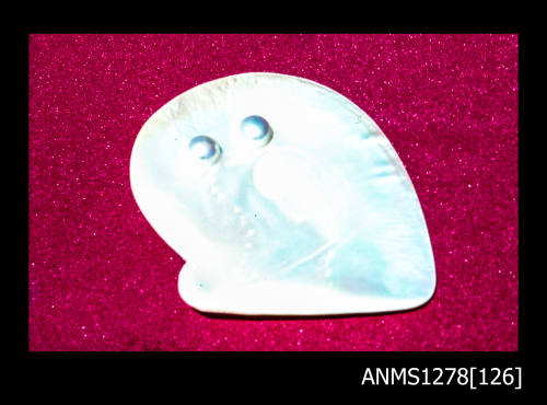 35mm colour transparency of a pearl shell with two blister pearls, on a red base