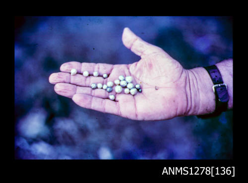 35mm colour transparency of a persons hand, filled with pearls