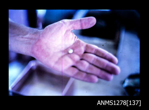 35mm colour transparency of a mans hand, holding one pearl