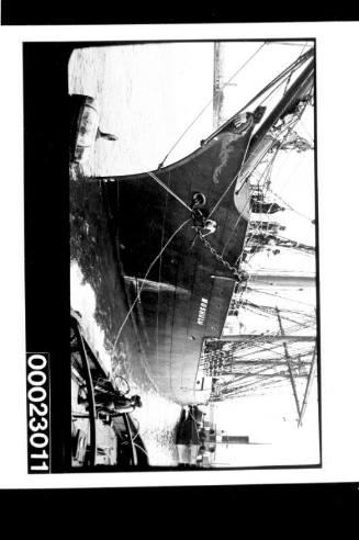 Four-masted barque MOSHULU,  ex KURT