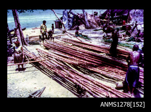 35mm colour transparency of Papua New Guinean men working with long wooden beams