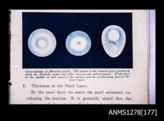 35mm colour transparency of a page from a book, showing the cross-sections of shirocho pearls
