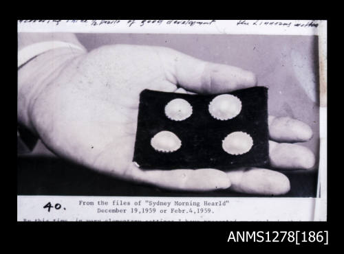 A photograph of a mans hand holding two pairs of pearl earrings