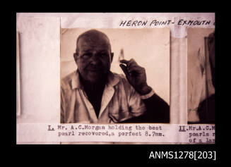 35mm colour transparency, taken from a page, with photos of a man holding a pearl, and accompanying text