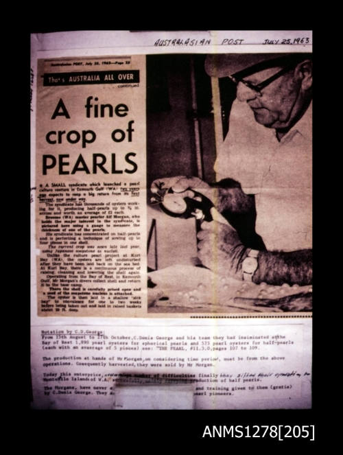 35mm colour transparency of a newspaper article titled A fine crop of pearls