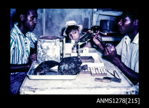 35mm colour transparency of two Papua New Guinean men, and a small child, sitting at a table with pearl shells and pearl seeding equipment