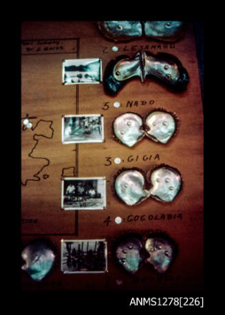 35mm colour transparency of pearl shells and photographs, placed next to each other in rows