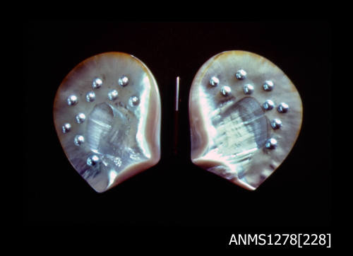 35mm colour transparency of two pearl shells with numerous blister pearls