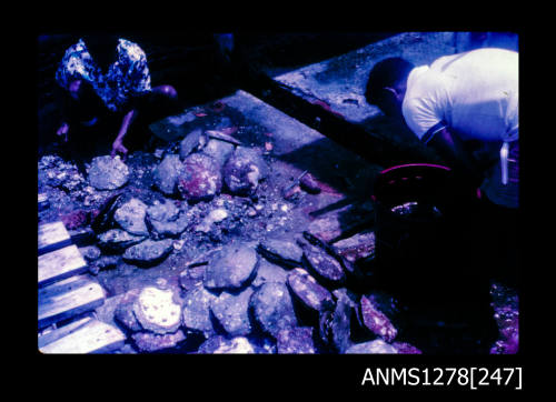 35mm colour transparency of two people sorting through pearl shells