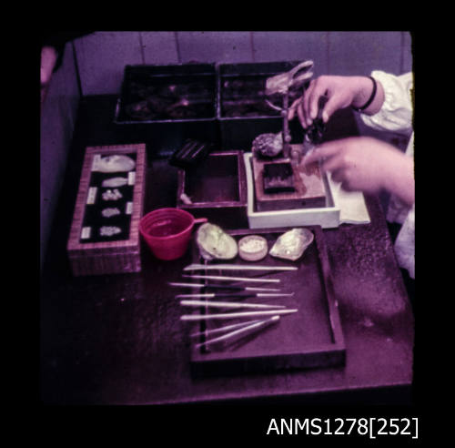 35mm colour transparency of a person seeding a pearl shell, surrounded by equipment