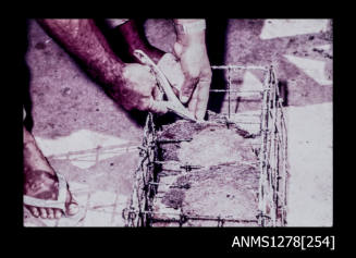 35mm colour transparency of a pearl basket filled with pearl shells