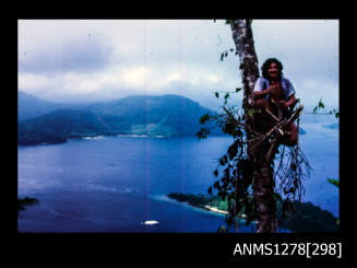 35mm colour transparency of a boy sitting in a tree, with views of ocean and an island behind him