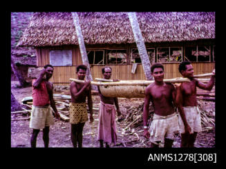 35mm colour transparency of five Papua New Guinean men carrying an object with wooden beams