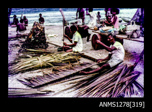 35mm colour transparency of Papua New Guinean people with piles of palm fronds