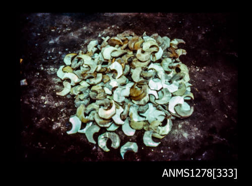 35mm colour transparency of a pile of roughly cut, curved pieces of pearl shell