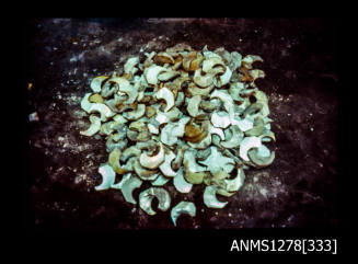 35mm colour transparency of a pile of roughly cut, curved pieces of pearl shell