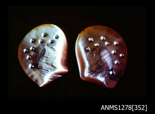 35mm colour transparency of two pearl shells, one with ten blister pearls and one with nine