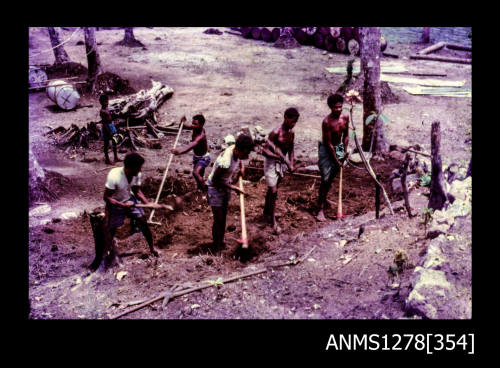 35mm colour transparency of several Papua New Guinean men digging a large hole