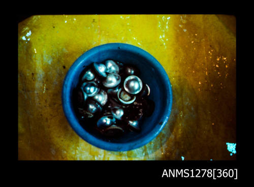 35mm colour transparency of a blue bucket filled with half pearls (or mabe pearls) with nuclei still attached