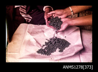 35mm colour transparency of black pearls in a womans hands, and on a cloth