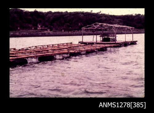 35mm colour transparency of a pearl raft