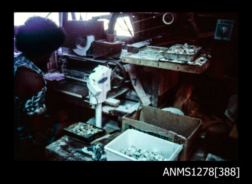 35mm colour transparency of a person standing in a shed with pearling equipment