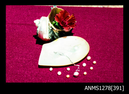 35mm colour transparency of a pearl shell with one blister pearl, surrounded by pearls and pearl jewellery, next to a shell with a red hibiscus sitting in it