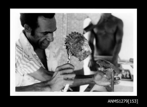 A Papua New Guinean man holding a pearl clamp, with another person holding a pearl shell with pliers