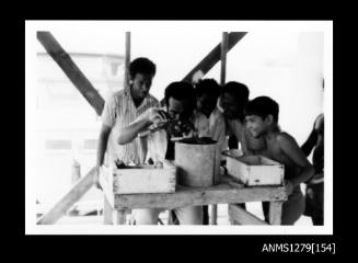 Photograph of four people watching a Papua New Guinean man seeding a pearls shell at a desk with wooden trays and a cylindrical metal object