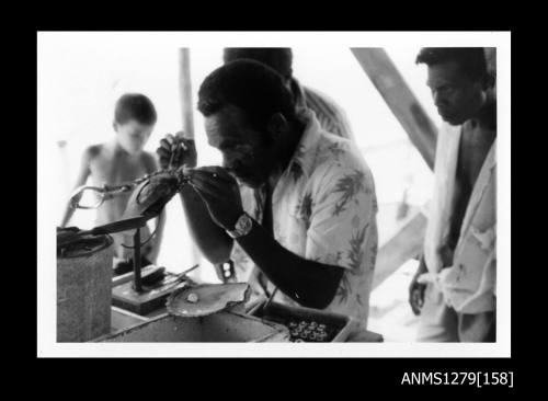 A Papua New Guinean man seeding a pearl shell, which is held in place with a clamp