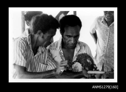 Two Papua New Guinean men looking at a pearl shell, which is held in place with a clamp for seeding