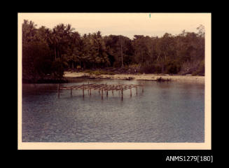 Colour photograph of a wooden pearl raft, in the water near the shoreline