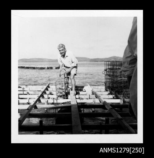 A man with grey hair and white shirt, holding a pearl shell cage, standing on a wooden pearl production raft