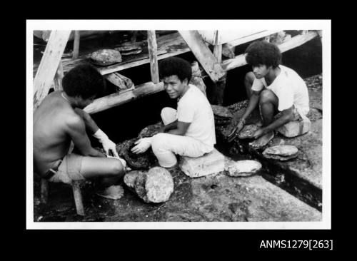 Three Papua New Guinean men, holding and cleaning pearl shells