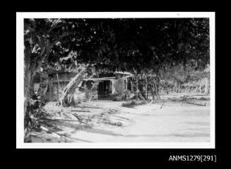 A shed, taken from the beach, with trees beside it