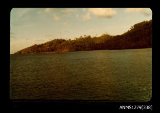 Colour photograph of land and water, taken from a boat, on Pearl Island