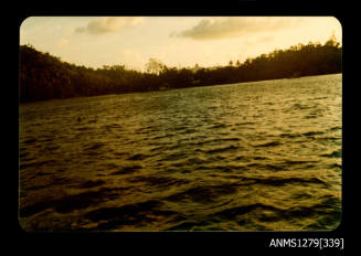 Colour photograph of land and water, taken from a boat, on Pearl Island