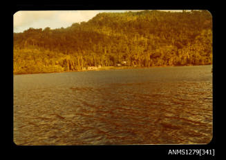 Colour photograph of the shoreline on Pearl Island, with several houses, taken from the water