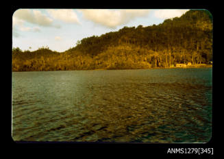 Colour photograph of water and shoreline on Pearl Island, with several houses visible on the shoreline