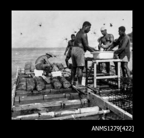 Photograph of several men on a pearl production raft, cleaning pearl shells from pearl cages