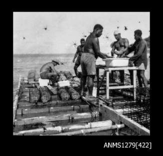 Photograph of several men on a pearl production raft, cleaning pearl shells from pearl cages