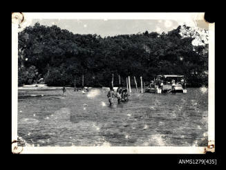 Photograph of several Papua New Guinean men, divided into two lines, pulling ropes attached to wooden beams in the water, and held by people on a nearby boat