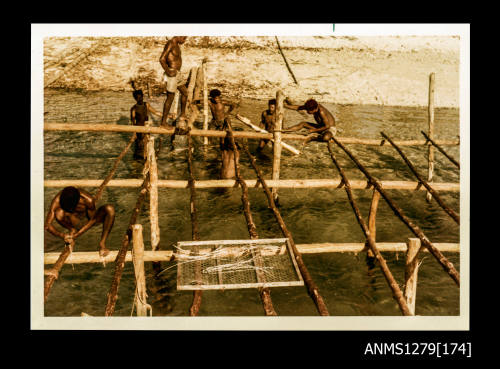 Colour photograph of several Papua New Guinean men constructing a pearl raft for pearl shells