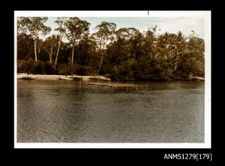 Colour photograph of a wooden pearl raft, in the water near the shoreline