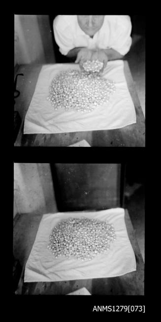 Two black-and-white negatives, joined together, the first of a person holding a handful of half pearls (or mabe pearls) from a large pile of half pearls, and the second of a large pile of half pearls