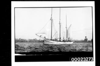 Three masted schooner CORINGLE