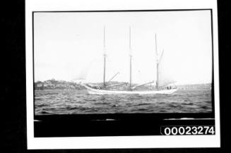 Three masted schooner CORINGLE