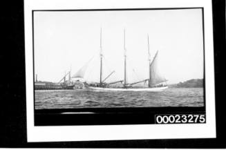 Three masted schooner CORINGLE