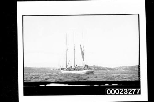 Three masted schooner CORINGLE