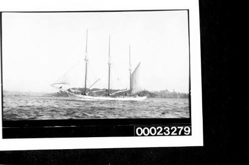 Three masted schooner CORINGLE